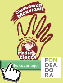 203x266px-BANNER-MOXVIQUIL